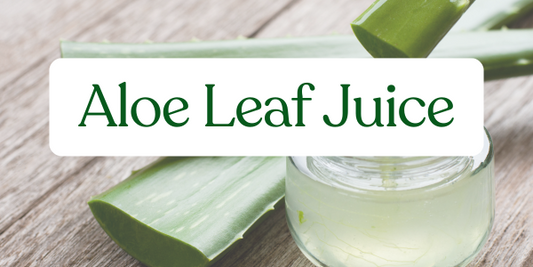 Benefits of Aloe Leaf Juice