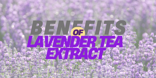 Benefits of Lavender in skincare