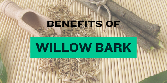 Benefits of Willow Bark Extract